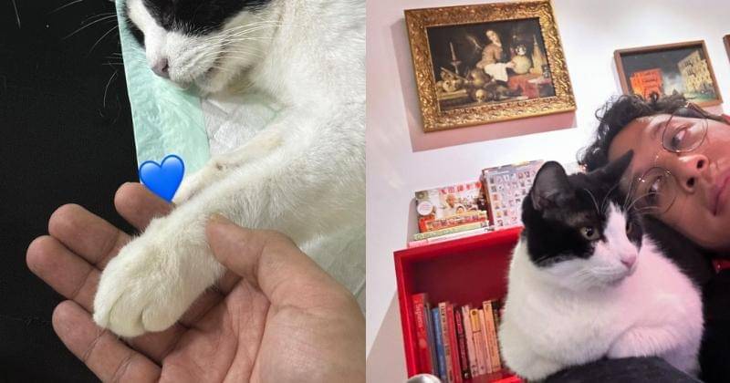 Instagram.com/wordfangs